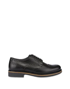 Pollini Derby|Uomo Allacciate