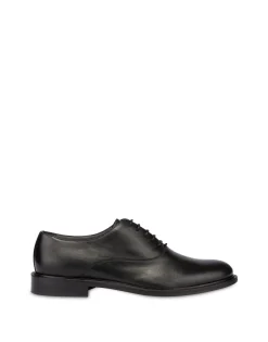 Pollini Derby|Uomo Allacciate
