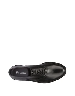 Pollini Derby|Uomo Allacciate