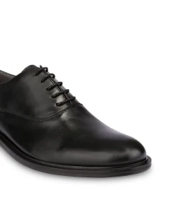 Pollini Derby|Uomo Allacciate