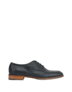Pollini Derby|Uomo Allacciate