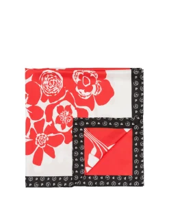 Pollini Foulard|Donna Foulard