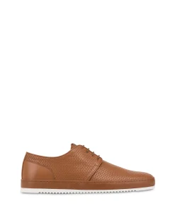 Pollini Sneakers|Uomo Sneakers