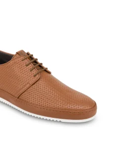 Pollini Sneakers|Uomo Sneakers